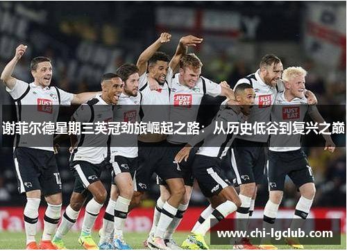 谢菲尔德星期三英冠劲旅崛起之路:从历史低谷到复兴之巅 谢菲尔德星期三英冠劲旅崛起之路:从历史低谷到复兴之巅