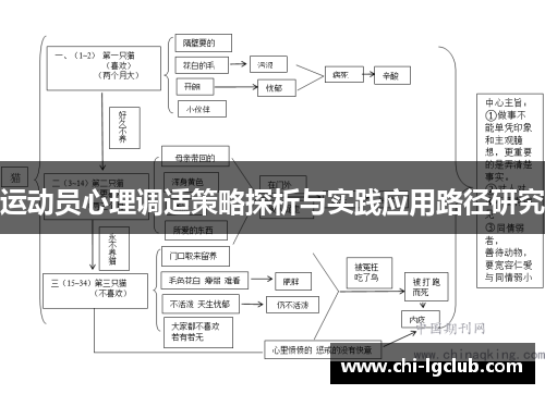 运动员心理调适策略探析与实践应用路径研究