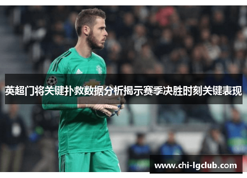 英超门将关键扑救数据分析揭示赛季决胜时刻关键表现
